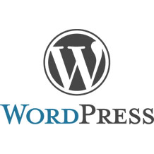 SEO per WordPress