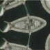 Bing Maps aggiunge nuove immagini dai suoi satelliti