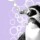 Algoritmi di Google, effetti e bersagli del nuovissimo Penguin